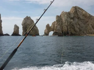 What is the Best Time to Fish in Cabo San Lucas